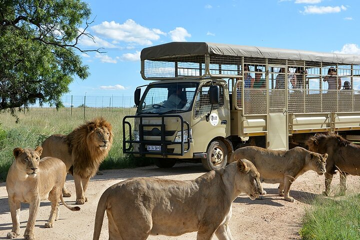 Lion & Safari Park - Photo 1 of 8